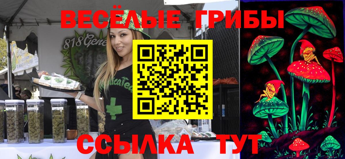 Псилоцибиновые грибы Magic Shrooms Алейск