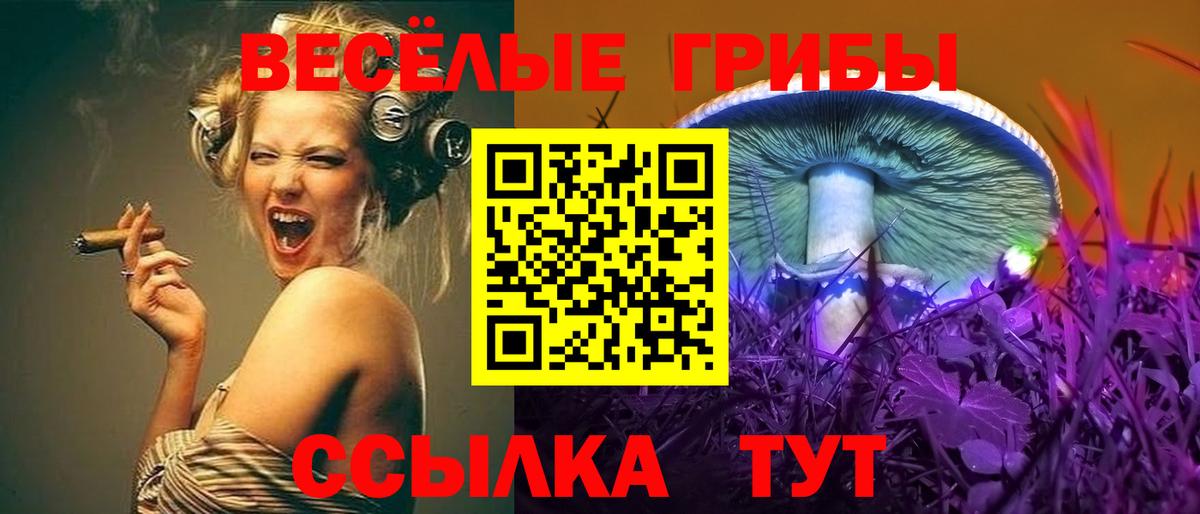 Галлюциногенные грибы Magic Shrooms  Галлюциногенные грибы мухоморы  Вход с VPN  Алейск 